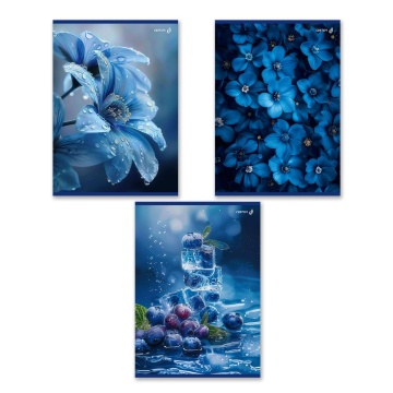 Тетрадь А4  80л кл. скоба Светоч "Сквозь синий туман" выб.лак., БЕЗ ПОЛЕЙ