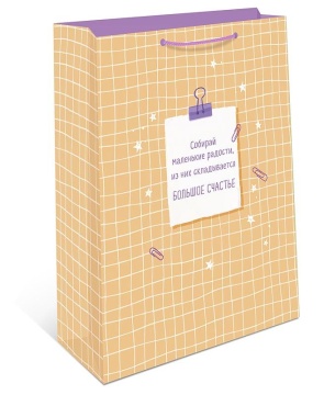 Пакет подар. бумажн. 33*42*10 см 150гр/м "Счастья"