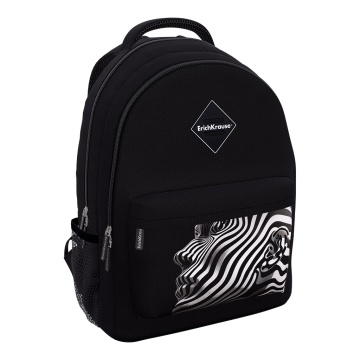 Рюкзак ErichKrause EasyLine с двумя отделениями 20L Nirvana