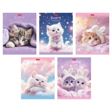 Тетрадь А5 48л кл. Hatber пласт.обл. "Нежные мечты" 5 диз.в блоке