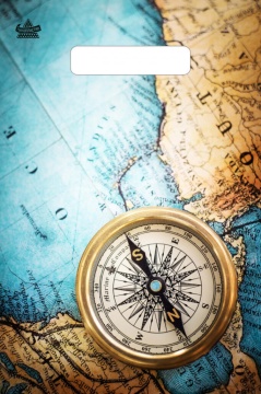 Пакет 30*20см (30мк) с вырубной ручкой "Компас" ПВД