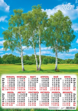 Календарь листовой А2 (420*594мм) на 2027г. "Природа. Белые берёзки"