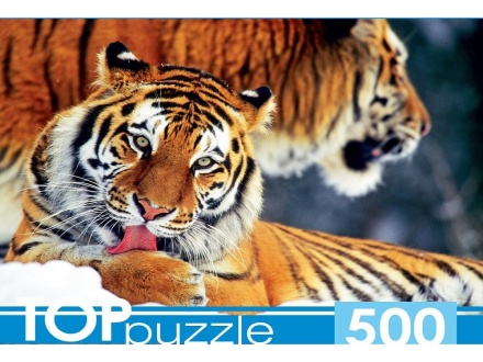 Пазлы 500 элементов 480*340мм. "Два тигра"