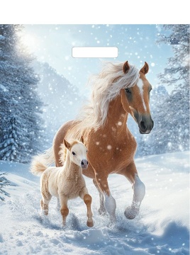 Пакет 45*38см (60мк) с вырубной укрепл. ручкой "Дуэт" ПВД