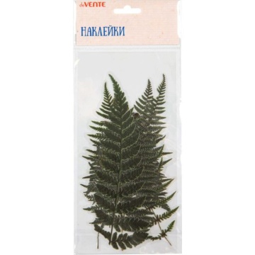 Декор наклейки для творчества "deVENTE. Гербарий. Листья Папоротника" до10x20 см, ПВХ, ассорти