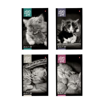 Блокнот А5  40л скоба "Котята" клетка