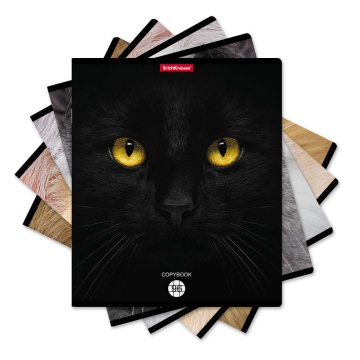 Тетрадь А5  96л кл. Erich Krause "Cats"
