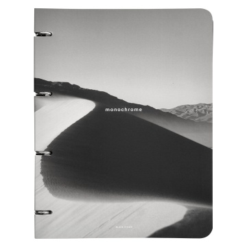 Тетрадь А4 120л кл. на кольцах Infolio "Be Smart. Dune. Дюна"