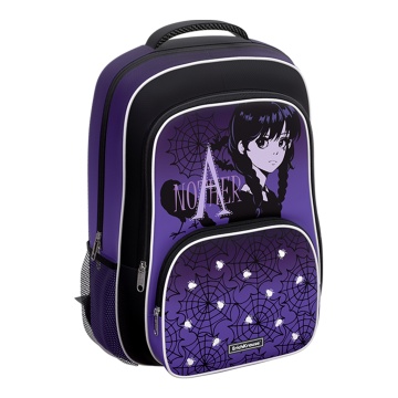 Ученический рюкзак ErichKrause ErgoLine 20L Another One