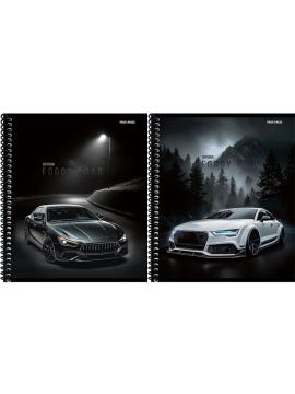 Тетрадь А5 48л кл. гребень Проф-Пресс "Туманная дорога"