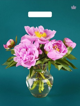 Пакет 40*31см (60мк) с вырубной ручкой "Любимые пионы" Ламинат