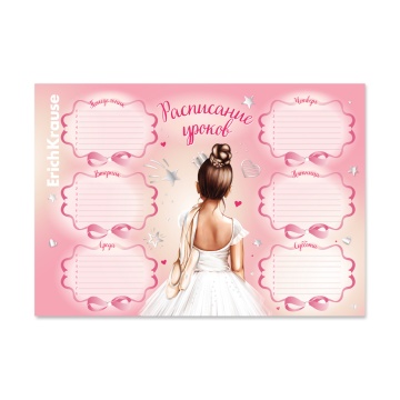 Расписание уроков А4 "Pointes"