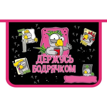 Папка д/тетрад. А4 (325*230*55) молния сверху, ламинат "Мультяшный попугай"