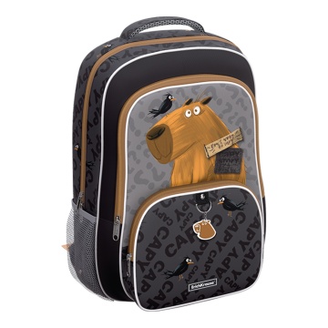 Ученический рюкзак ErichKrause ErgoLine 20L Happy Capy