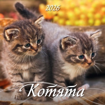 Календарь КВАДРАТ 285*285мм на 2026г. Котята