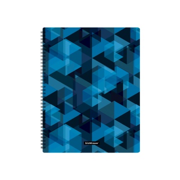 Папка файловая пластиковая на спирали ErichKrause Сияние льда, с 20 прозрачными карманами, A4 (в пак