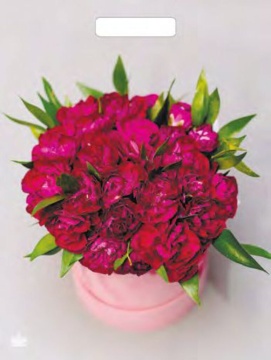 Пакет 40*31см (60мк) с вырубной ручкой "Букет пионов" Глянец ПВД