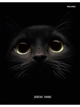 Блокнот А5 7БЦ 160л "Взгляд кота" клетка, глянц.лам.