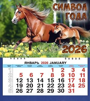 Календарь МАЛЫЙ 200*240мм на 2026г. СГ_Семейка в одуванчиках