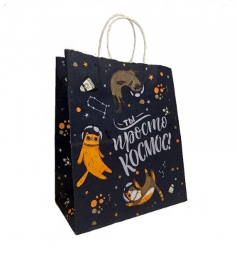 Пакет подар. бумажн. 25*22*12 см, 100 гр/м2 Ты просто космос, крученые ручки