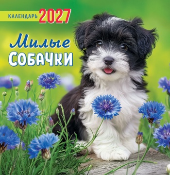 Календарь КВАДРАТ (средний) 230х235мм на 2027 год "Милые собачки" (12 л, скреп)