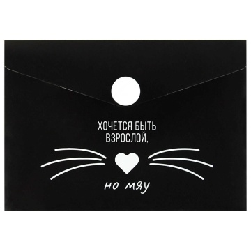 Конверт на кнопке  с рисунком 105*74мм, Фразы с характером