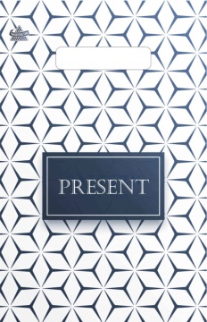 Пакет 30*20см (30мк) с вырубной ручкой "Презент стиль" ПВД