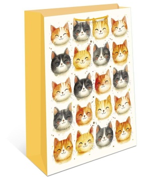 Пакет подар. бумажн. 11*14*6 см 150гр/м "Коты"