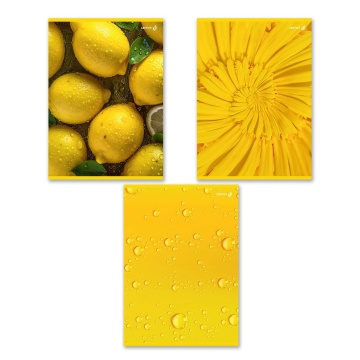 Тетрадь А4 96л кл. скоба Светоч "Солнечная" БЕЗ ПОЛЕЙ