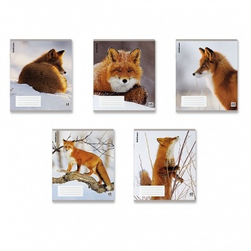 Тетрадь 48л клетка пластик "Лисы" асс (5диз) 60г.м2