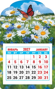 Календарь на магните фигурный 95х150мм на 2027г. "Природа. Ромашки"