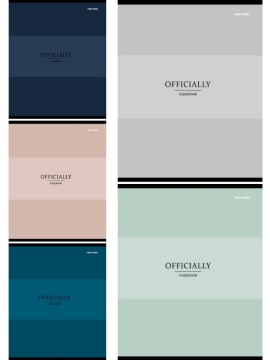 Тетрадь А5 48л кл. Проф-Пресс "Officially" 5 диз.в блоке