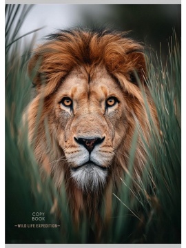 Тетрадь А4 96л кл. скоба Проф-Пресс "Красивый лев - 1" (203*273мм)