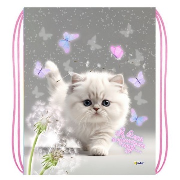 Мешок для обуви 1 отд, 340*420 "Белый котик"