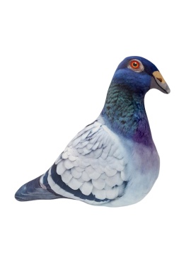 Мягкая игрушка 45см "Птица Голубь"