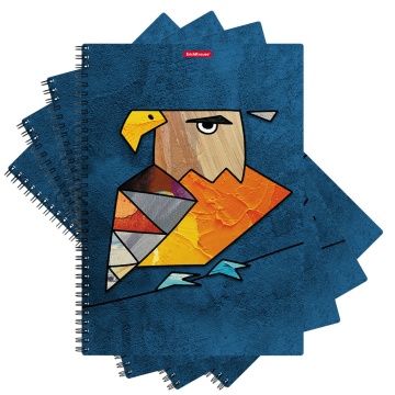 Тетрадь общая с пластиковой обложкой на спирали ErichKrause Birds, ассорти, А4, 80 листов, клетка