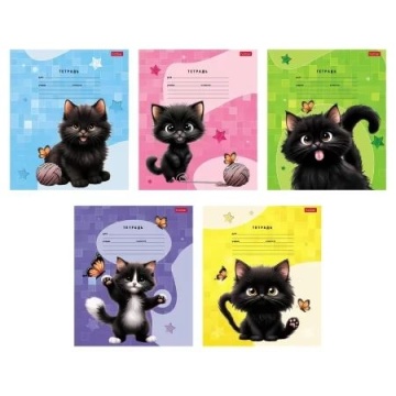Тетрадь А5 18л лин. Hatber "Черный котик" 5 диз.в блоке