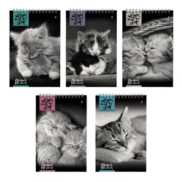 Блокнот А5 40л гребень "Кошки" клетка