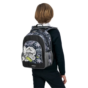 Ученический рюкзак ErichKrause ErgoLine 15L Dinosaur Park