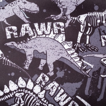 Мешок для обуви ErichKrause 500x410мм Dinosaur Park