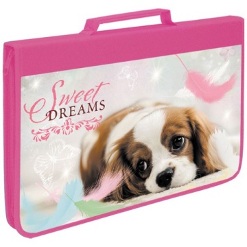 Папка для тетрадей. А4  с ручками молния, ткань.лам.картон "Мечтатель".ОНИКС