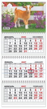 Календарь квартальный (мини) на 2027 год "Символ года. Прогулка" 197х467мм