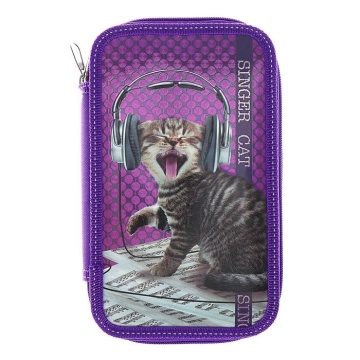 Пенал 2 отд. (205*125*40) молния, лам.картон "Кот-певец"