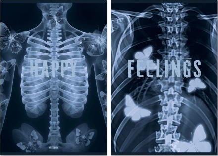 Тетрадь А4 96л кл. скоба Полином "Рентген" софт-тач, БЕЗ ПОЛЕЙ