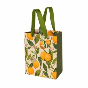 Пакет подар. бумажн. 18*23*10 см 210гр/м2 Flora. Лимоны