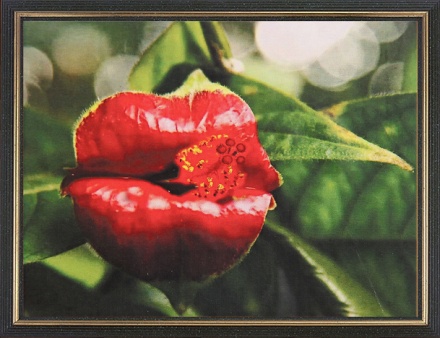 Алмазная картина-раскраска по номерам 2в1, 40х50см. ЦВЕТОЧНЫЙ ПОЦЕЛУЙ