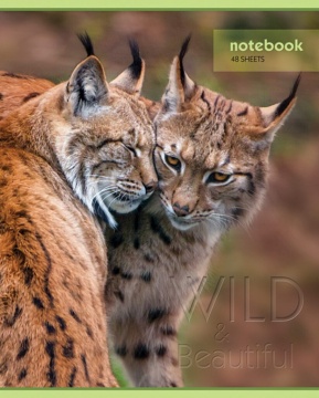 Тетрадь А5 48л кл. Hatber !СУПЕРЭКОНОМ! "Дикий мир" белизна 80%