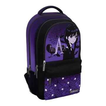 Рюкзак ErichKrause ActiveLine Ergoback с тремя отделениями 22L Another One