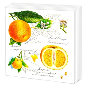 Салфетки бумажные 50л. 24*24см Апельсин, 1слой