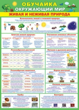 Плакат 50*70см "Обучайка. Окружающий мир "